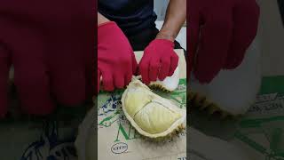 Peel the durian#durian #youtubeshorts #shortvideo #shorts #short #peel#ytshorts