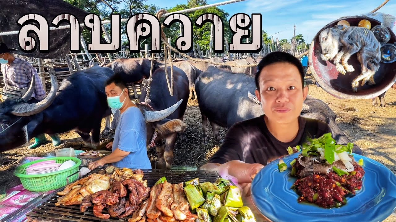 ลาบควาย ยำฮก ร้านตลาดนัดแต่รสชาติ A+++ กาดทุ่งฟ้าบด สันป่าตองเชียงใหม่