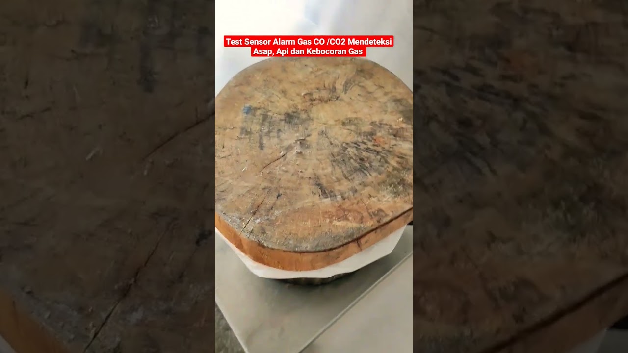 Test Sensor Alarm Gas CO /CO2 Mendeteksi Asap Api dan Kebocoran Gas 