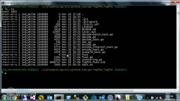 November Meetup - Jud White on Fuzz Testing in Go