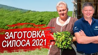 Заготовка силоса 2021.Силос из кукурузы. Часть 1.