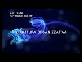 Corso SAP FI Gestione dei Cespiti: struttura organizzativa e piano di ammortamento
