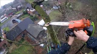 Red oak dismantle using GRCS