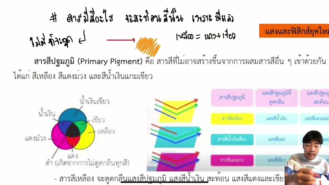 08 การเห็นสี