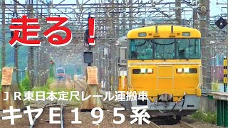 定尺レール輸送車キヤＥ１９５系 | 乗務員訓練でＪＲ武蔵野線「東所沢駅～吉川南駅」を往復