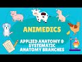 DESCRIPTION OF APPLIED ANATOMY AND SYSTEMATIC ANATOMY