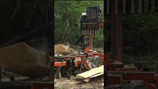Sawmill accident #woodmizer #lumber #shorts #dangerous