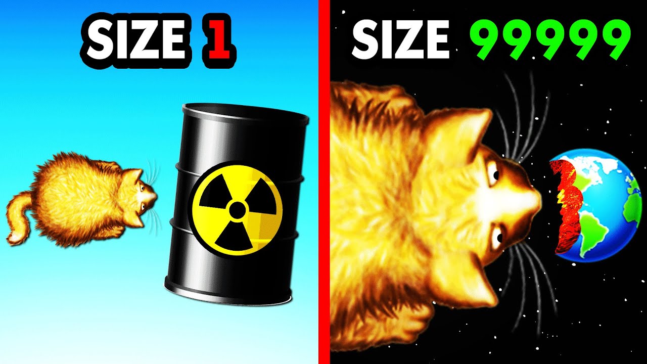 Upgrading World's BIGGEST CAT - YouTube