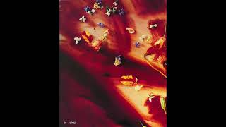 Paul McCartney - Tommys Coming Home (Instrumental)