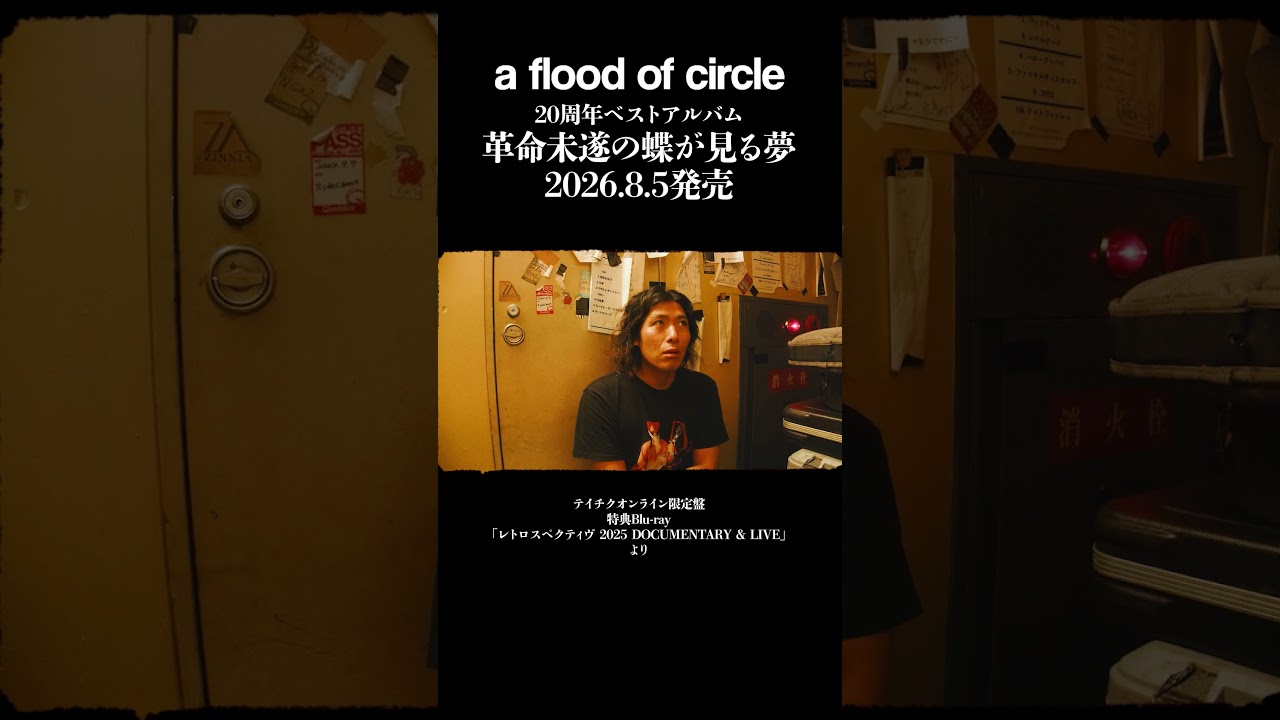 a flood of circleベストアルバム『 #革命未遂の蝶が見る夢 』 - YouTube