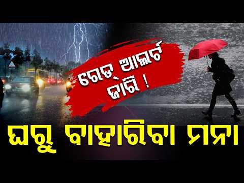 🔴Live | ୪ ଦିନ ପ୍ରବଳ ବର୍ଷା | Odisha Rain Alert: Heavy Rainfall for Next 4 Days | Argus News