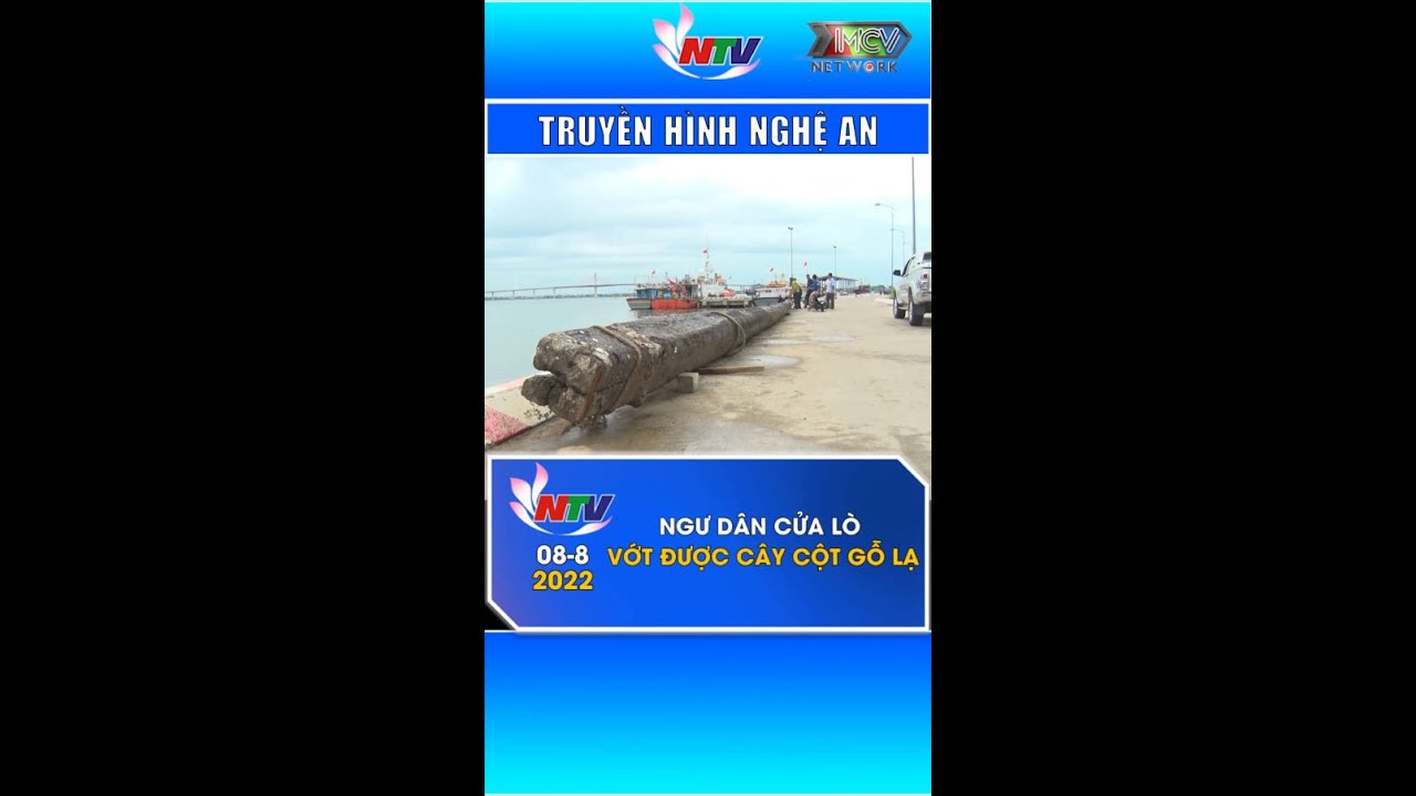 Ngư dân Cửa Lò vớt được cây cột gỗ lạ #shorts - youtube