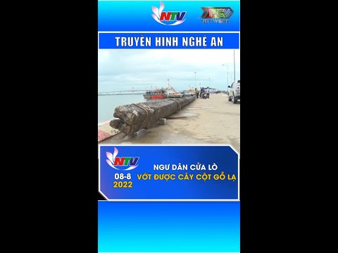 Video Ngư dân Cửa Lò vớt được cây cột gỗ lạ #shorts - youtube