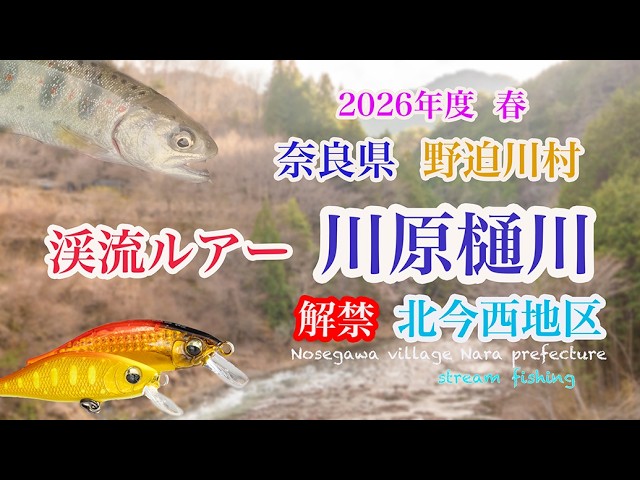 奈良県野迫川村 川原樋川 渓流ルアー2026] 解禁 北今西地区 - YouTube