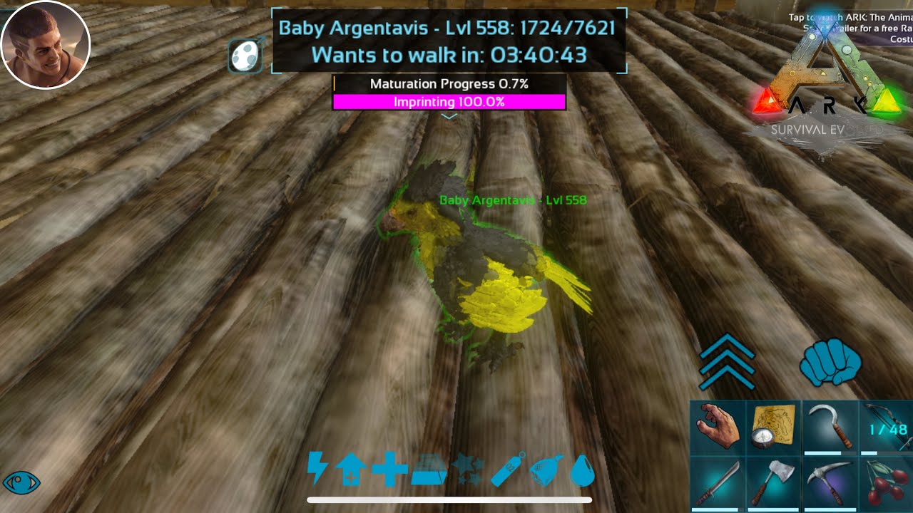 BREEDING AND IMPRINTING ARGENTAVIS !! ARK SURVIVAL EVOLVED MOBILE