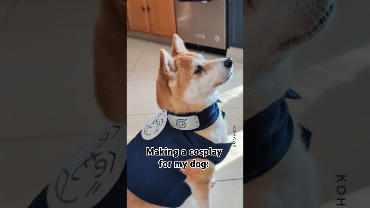 He's so awkward 😂 made using  @xToollaser #m1ultra #xtool #xtoolm1ultra #cosplay #dog #kakashi