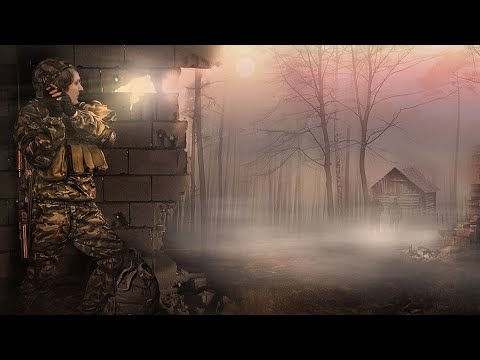 Видео: РАБОТНИК МЕСЯЦА (S.T.A.L.K.E.R. Anomaly) #6