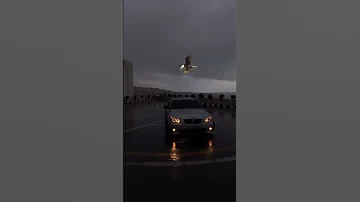 عقلك قالك تسرح بي بس عقلك غلطان 