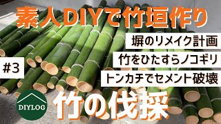 竹垣用の竹を伐採｜素人DIYで塀の基礎｜コンクリートの支柱を立てて竹垣フェンスを手作り【古民家DIY#3】