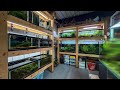Fish Room Tour June 2026 - What happens when I leave the Fish Room?