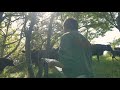 周年放牧の短角牛 "毎朝の頭数チェック"|Morning Herd Check of Grazing Japanese Shorthorn – Tamura Farm, Japan