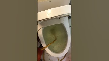 Bồn cầu bị tắc