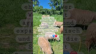 Russische ⚪️🔵🔴 Wahrnehmung von westlicher Aggression  #BlöckBuster #Russland #shorts