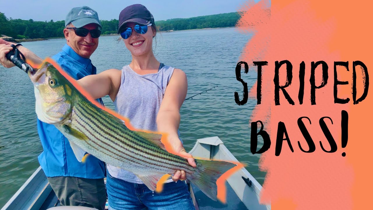 How We Fish For STRIPED BASS in Maine! 