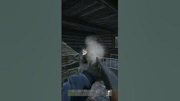 DayZ Double Kill! We Shot Each Other at the Same Time! 🔥💀  #dayz