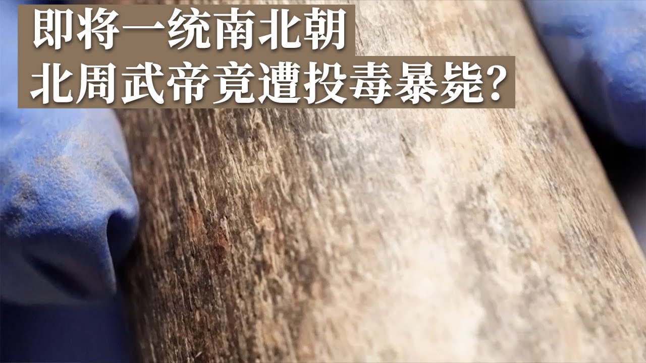 即将改变中国历史的帝王宇文邕在36岁离奇死亡 墓中头骨竟显示他是中毒而死！历史的真相究竟是什么？《探索·发现》北周皇帝死亡之谜（下）丨 中华国宝
