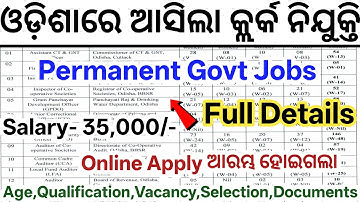 Odisha Junior Clerk Recruitment 2025// Odisha New Govt Clerk Jobs// New Govt Job Vacancy in Odisha