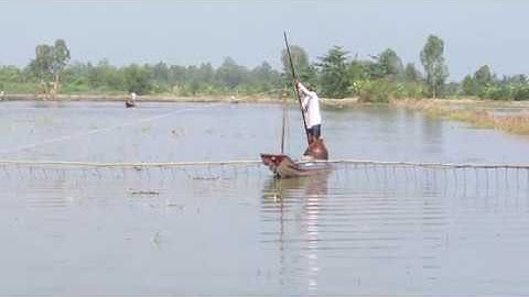 Độc đáo cuộc thi kéo côn bắt cá đồng ỏ Miền Tây