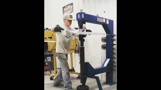 Skins From Rodsbyshorb