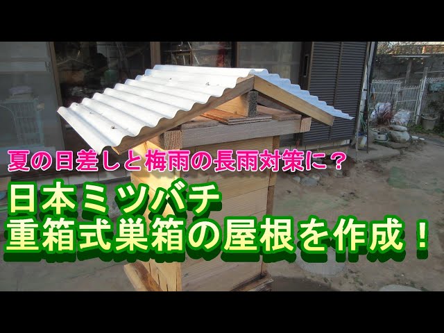 To protect against the summer sun and the long rainy season! We