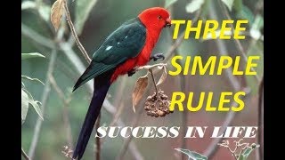 How to Succeed in Life | Three Simple Rules to Success | Motivational English Story