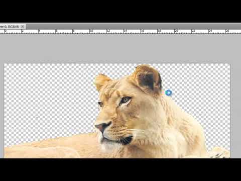 photoshop arka plana resim ekleme