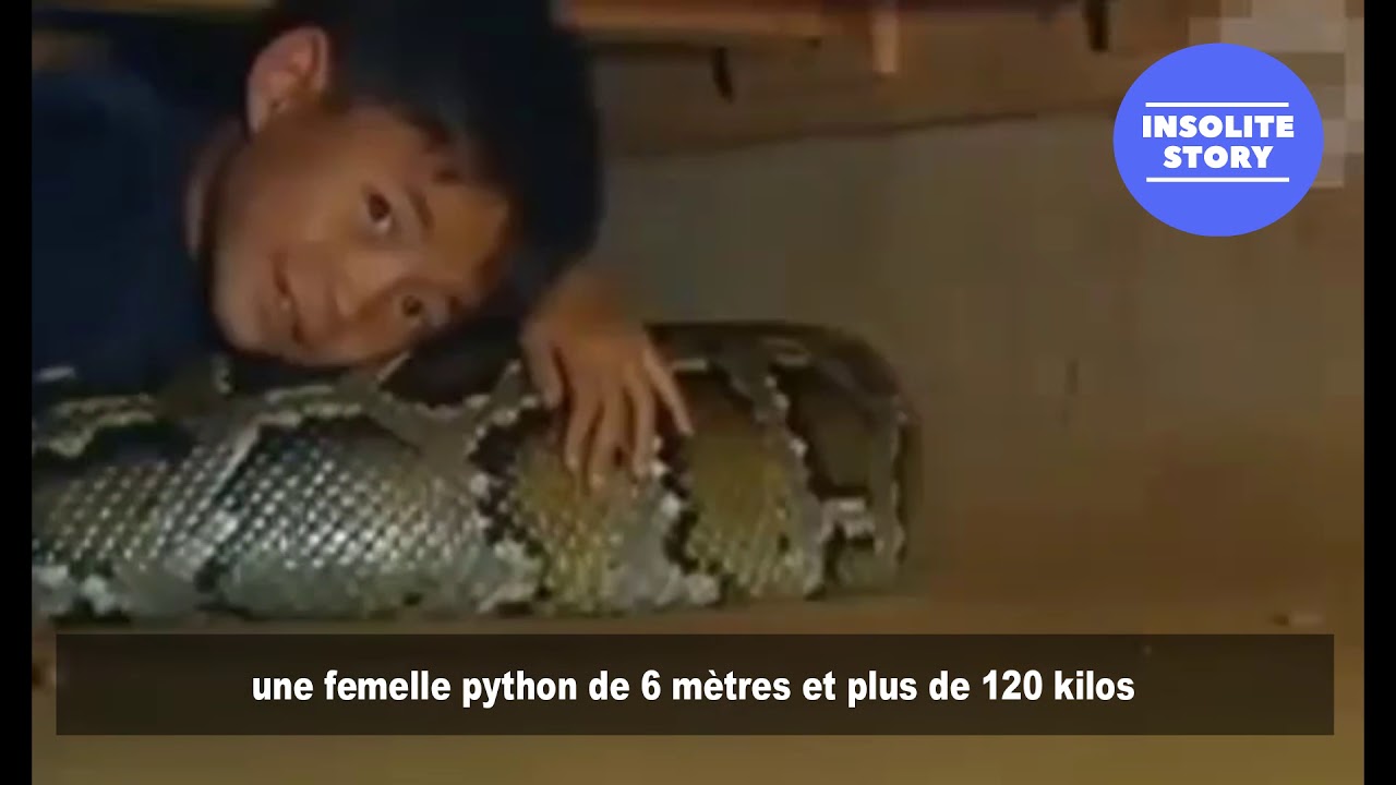 Un garçon dort avec un python toutes les nuits depuis 11 ans - YouTube