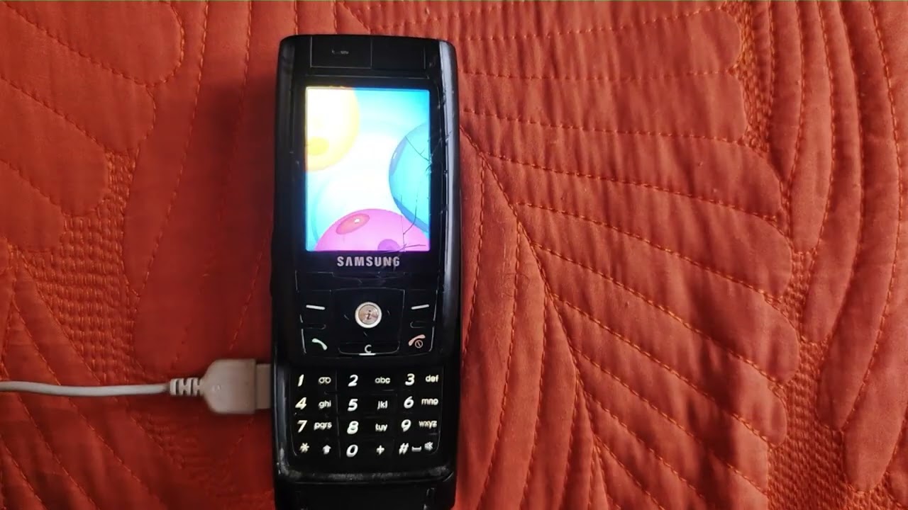 Samsung SGH-D820 - Startup/Shutdown (all 2 variants)