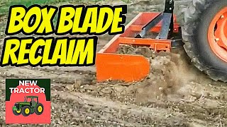 Reclaiming land with a box blade and Kioti Tractor.
