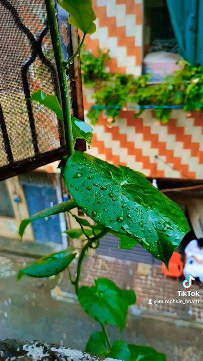 https://vt.tiktok.com/ZSSaeegPw/  also follow on TikTok.