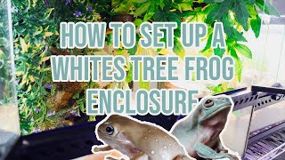 How To Set Up A Whites Tree Frog Enclosure