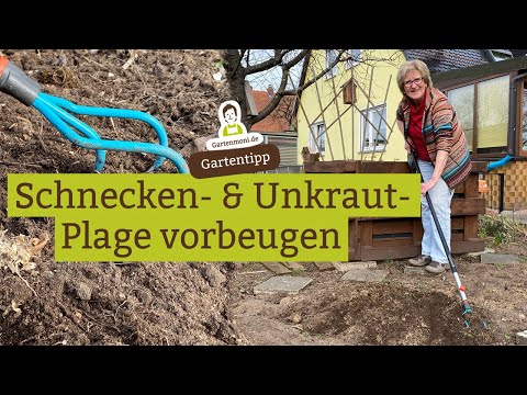 Video: Zitronenmelisse in Grenzen h alten – So verhindern Sie Zitronenmelisse-Unkraut