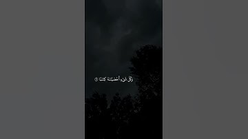 ﴿إِنَّهُمْ كَانُوا لَا يَرْجُونَ حِسَابًا﴾ [النبأ: 27]     (القارئ: عبدالرحمن مسعد).