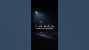 اكتب شيء تؤجر عليه 😴🩶 قران كريم | إسلام صبحي