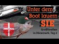 Unter dem Boot lauern SIE. Forellenangeln in Dänemark: Tag 2, Loch Nees & Munkbro Fiskesø