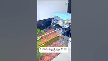 Bộ lọc thác treo thành bể làm sạch nước cả bên trên và bên dưới, tạo oxy cho cá #aquatic #shorts