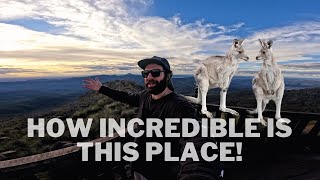 Camping on an 18 Million year old Extinct Volcano that is, Mount Kaputar! | Part 2