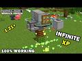 New Armadillo Infinite XP Farm in Minecraft Bedrock | 100% Working