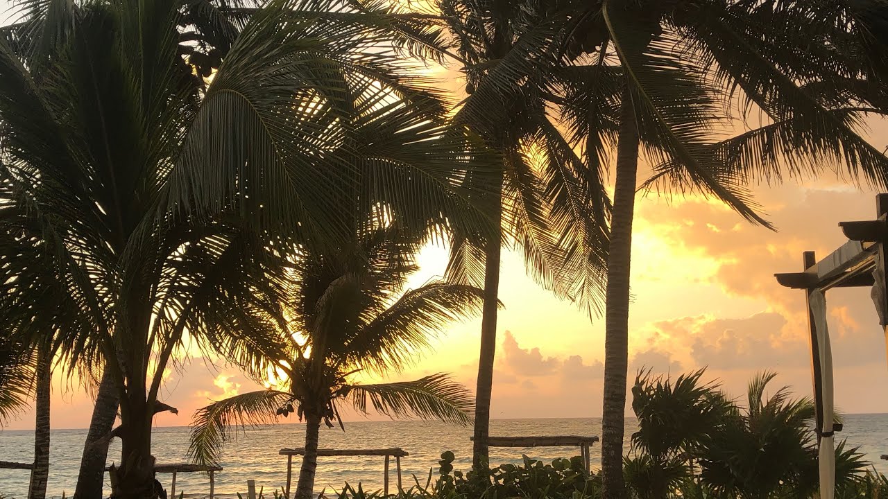 Akumal Bay — Beach & Wellness Resort - YouTube