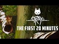 Stray (PS5) The First 20 Minutes of Gameplay